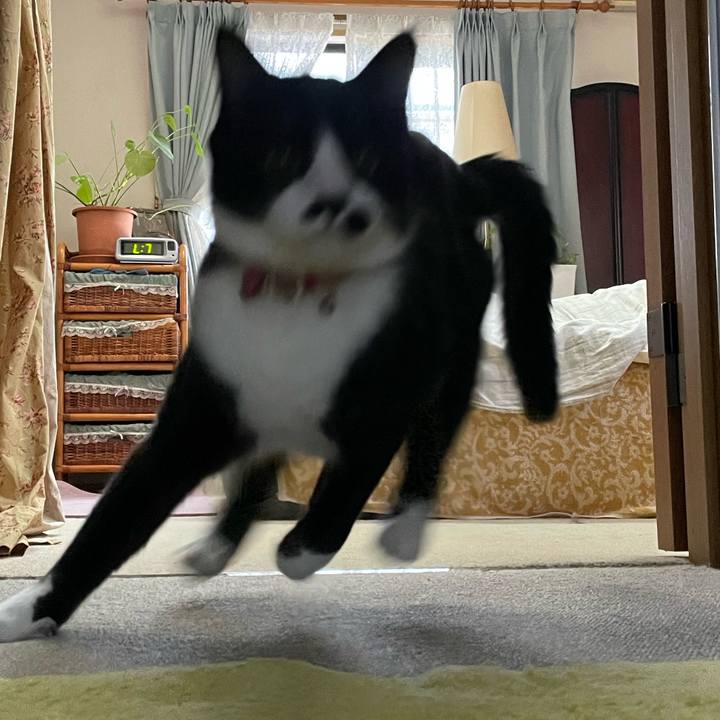 783e5404 0d8c 4b42 8882 60c6ecc5ed65 1651539614395