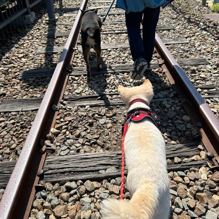 783e56d1 eefe 4e52 a115 15bf3976cb52 1746530430330