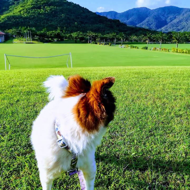 783e6d1f a18b 435f ad65 6b9135cae5c0 1538714523619