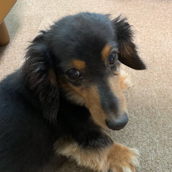 783f4b29 d492 48ee abdf 5bd5a691182d 1565908694953