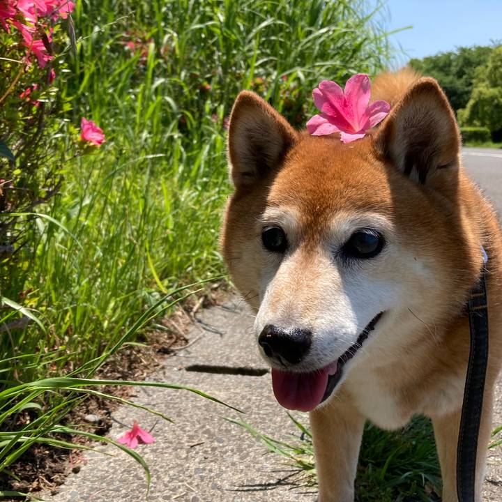 783f4d5f 5ae7 4a73 94a8 80b567df1721 1684209287977