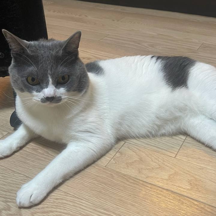 783f6faa 011c 4feb a557 f302b981dd77 1624613480355