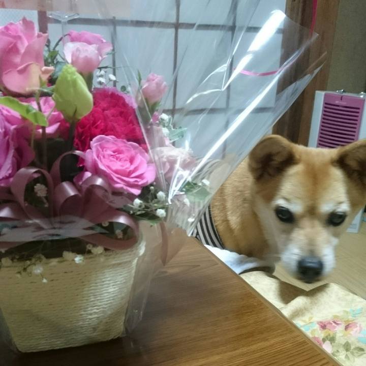 783f7d8d 9a67 4a64 b575 5f66d35a9876 1509971232876