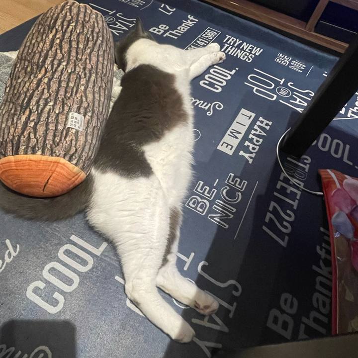 783f8576 8ecf 4273 abf3 653878691c44 1693062524049