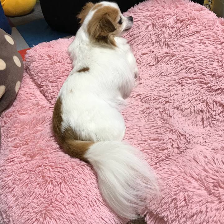 783f9de6 235e 486c 9a67 847ffbeaf5bb 1519220427630