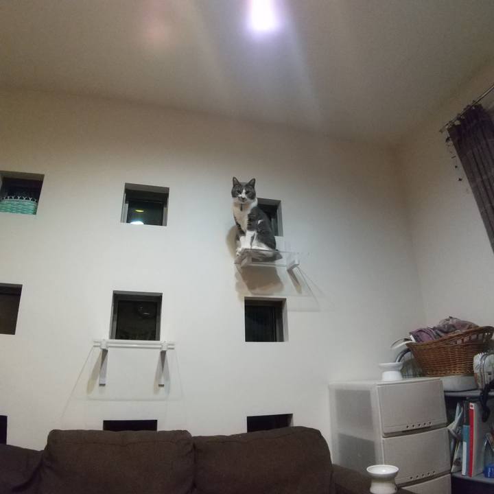 783fa182 c466 4848 80bd 53d70a3d75c8 1640345463493