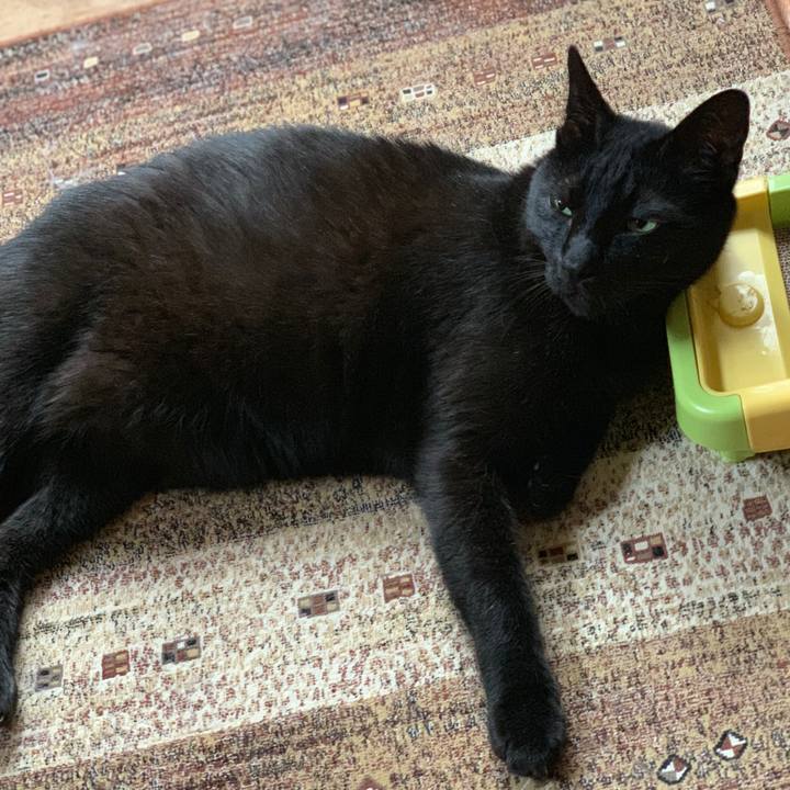 783fc5a2 4dc7 4589 b900 c99c152812b8 1560904678469