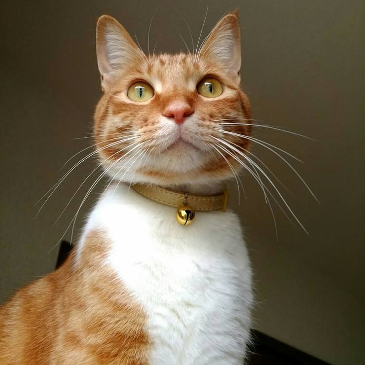 783fda78 20cd 453e 85f5 9006374ff0c6 1566452727387