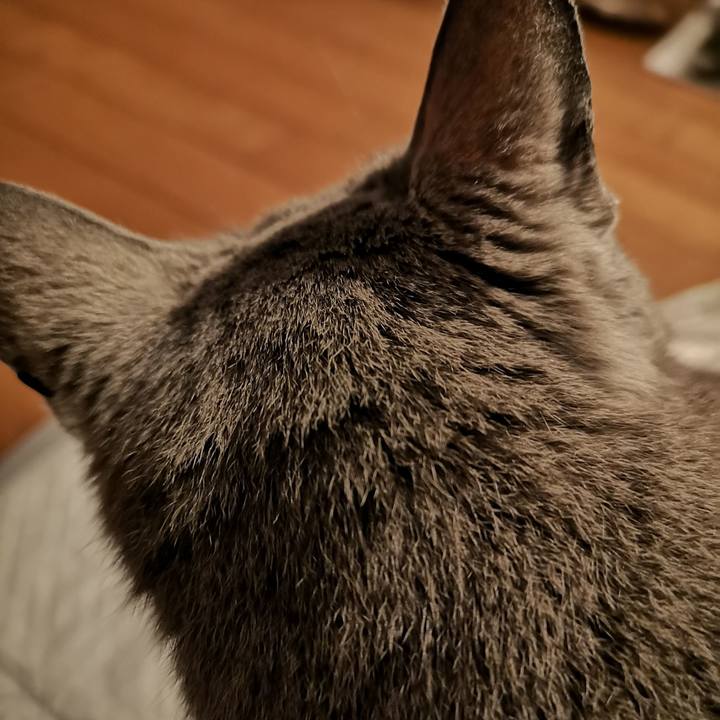 783fe93b 9e51 469b 99e9 fa1f0393e8a5 1652794883422