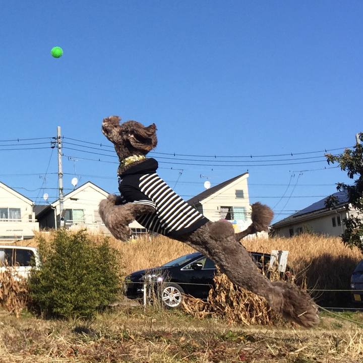 78407431 95da 4b73 b199 3271e13c4903 1515292552171