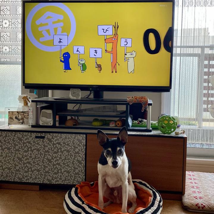 78409264 9f10 45ce 96d1 84cf3262c6c5 1616104995255