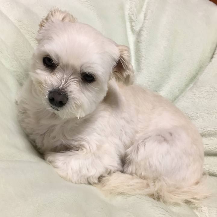 7840bb1f 384c 4518 8f77 193296db9843 1549360581034