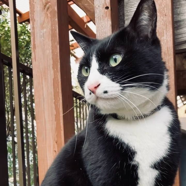 7840e646 edd0 4fb5 adf0 5a310466e3ff 1743562004864