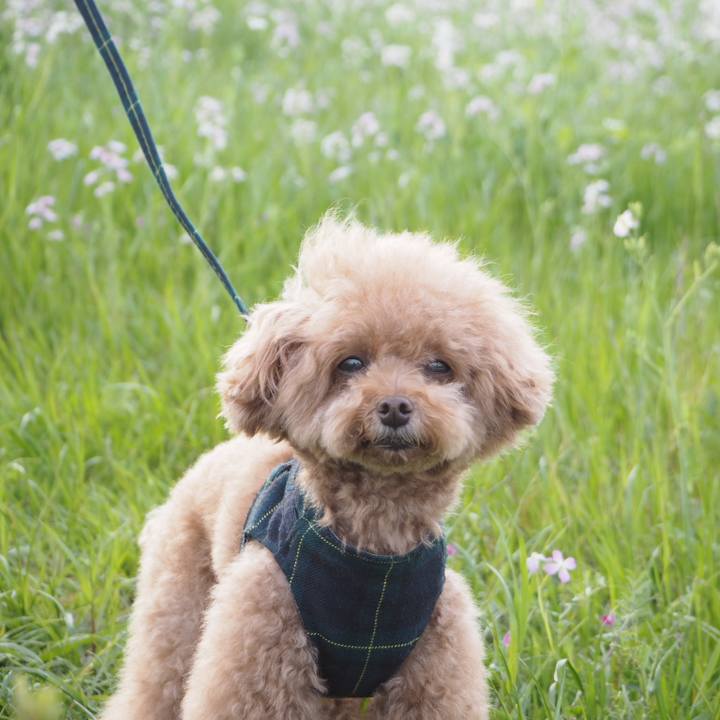 78411c26 7918 456c b469 56def1c0a318 1522584502921