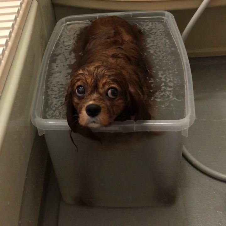 784126cd 8bad 4dc9 8dd1 0571a9116434 1610768718431