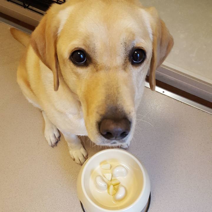 78414020 d175 488b ab11 a0a3b48b2e5a 1513739510805