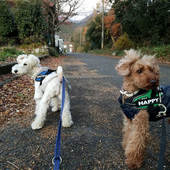 784143d0 ced5 431c 951b fc357e1dd6ce 1512702329523