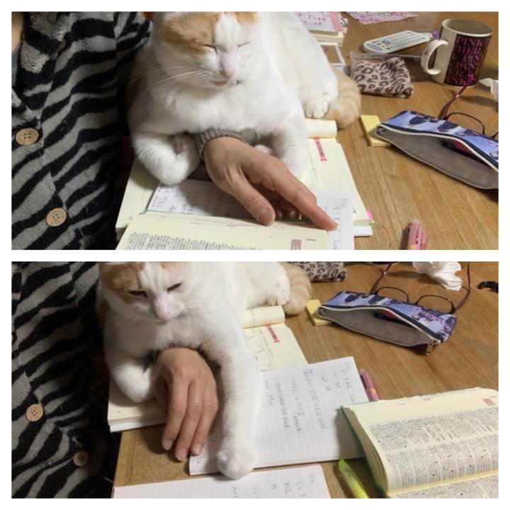 78415c2f ef79 427f b971 c40e21f46d03 1581861458570