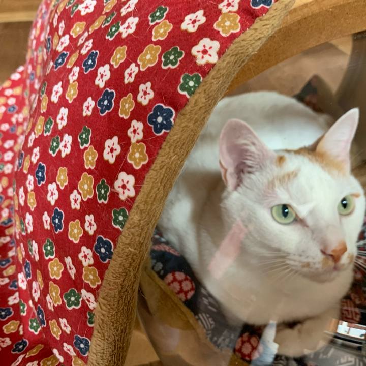 78415cfa cc02 4f46 9d00 7ca7c36a9d05 1627964415545