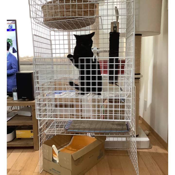 784186a9 e171 47fa 84f1 c1974349c947 1567210408330