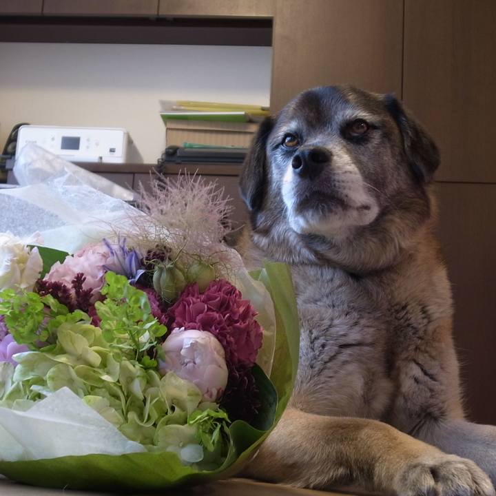 7841f87f 6541 43a6 b79d 7208188a330d 1608683664213