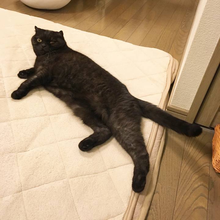 78420589 5013 4d3e 9e84 cf0b18bffe18 1510026933187