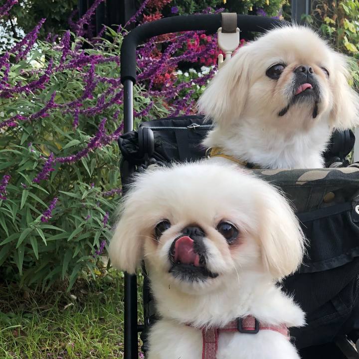 78422bde 0cc5 4452 850a bb2e3d8095fe 1539733298977