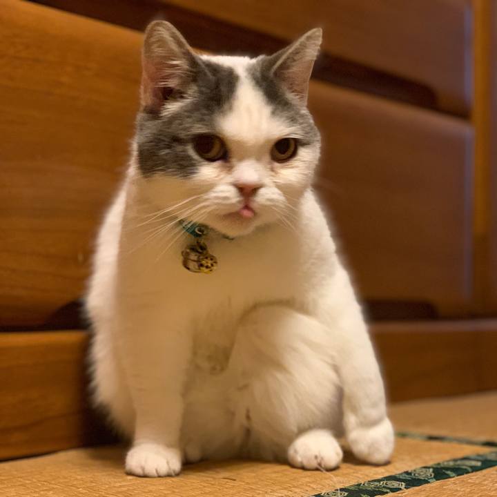 7842bbfb 863d 4c04 bf16 526b3b29c6e5 1679661906081