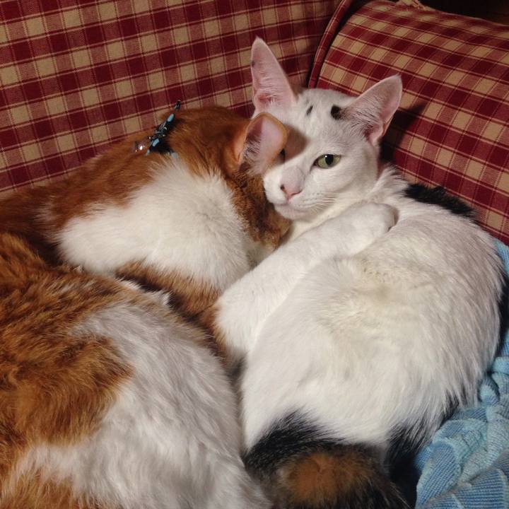 7842e6b4 d324 4fd6 8464 ceb1dca59436 1515410513522