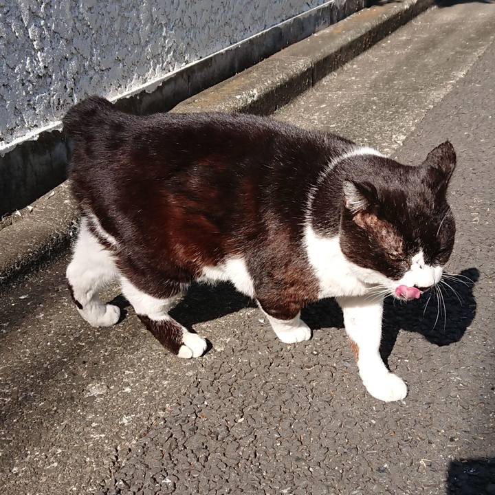 78434968 6bc1 4640 a810 3b76679ee697 1613883593297