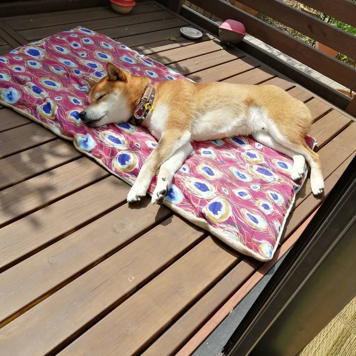 78434e13 1303 4876 ad03 c0b824f3ccbd 1648176977003