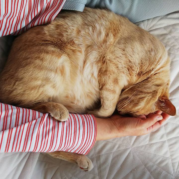 78434fff 2fb2 4d1e 96e6 5ec6b00d64ce 1682145430929