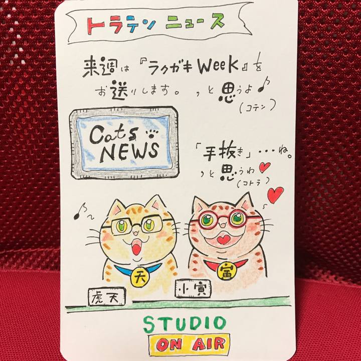 78437471 b0a7 46f9 8096 4bbfdc8efe83 1552830623215