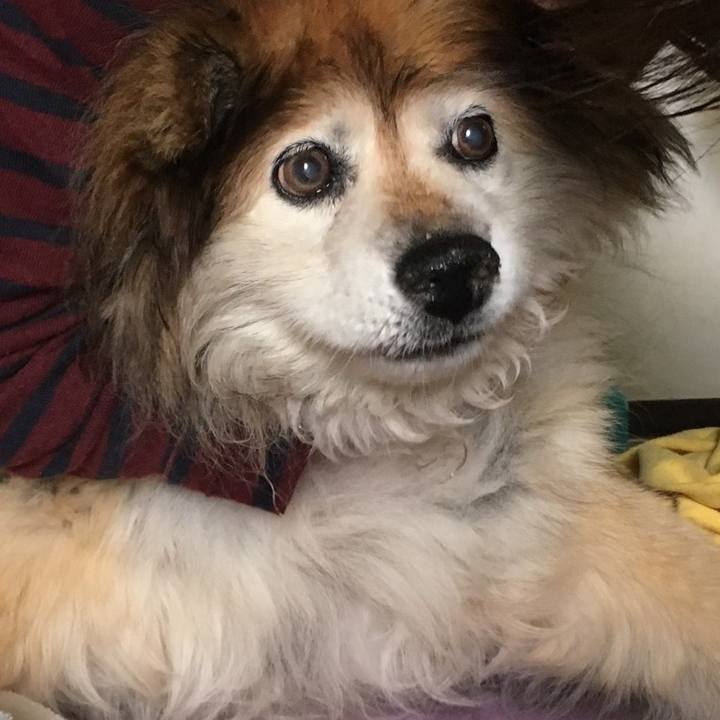 78439c18 c9fe 479a 92b4 c09165c90d36 1564233388530