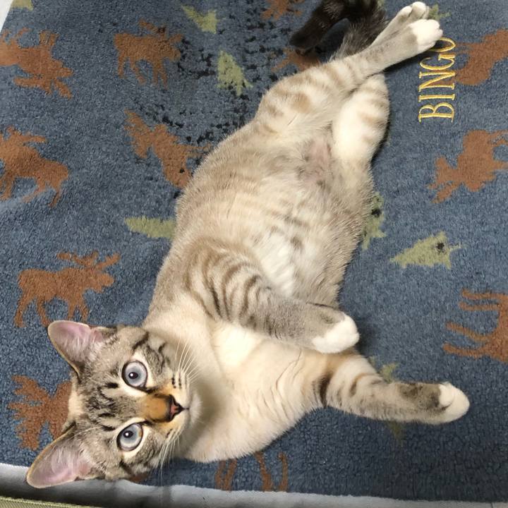 7843bf35 5786 4d01 8db2 75b3a9941988 1618836565211