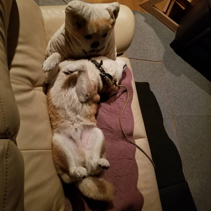 7843fa63 2e11 432b 85a4 86acb39e798a 1701264991618