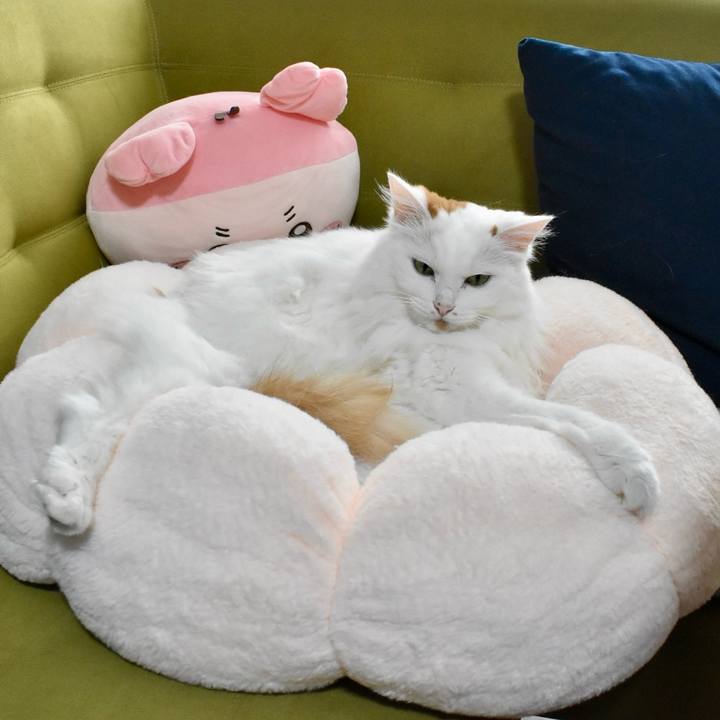 78440192 e570 4eee 8101 252285492df6 1761708744893