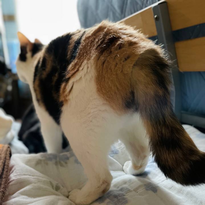 78449d57 c371 48dc a47b 1bcae84ae7f2 1656904136053