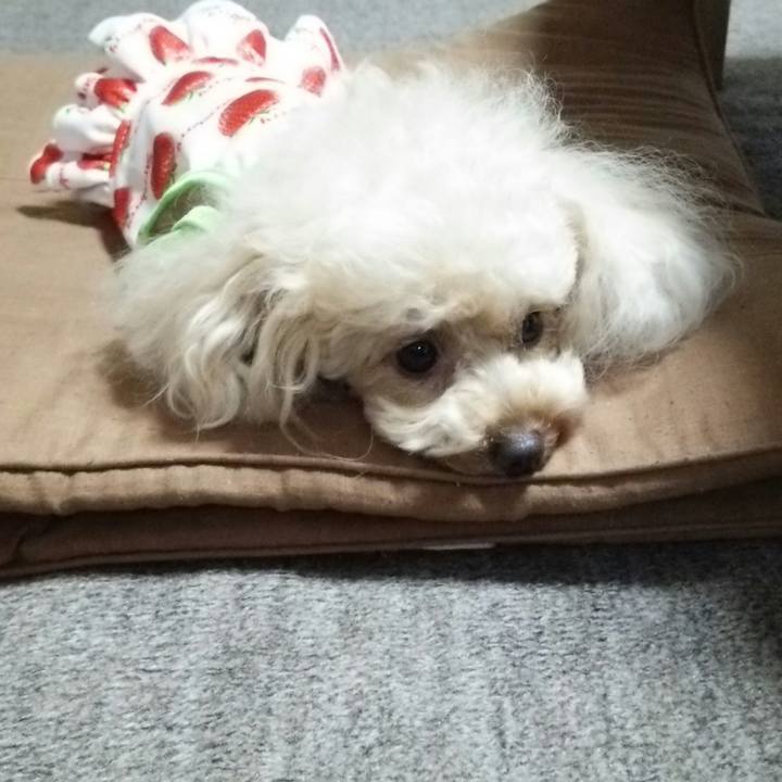 7844ca63 4b16 4100 845c 1a313d71deb6 1533215428910