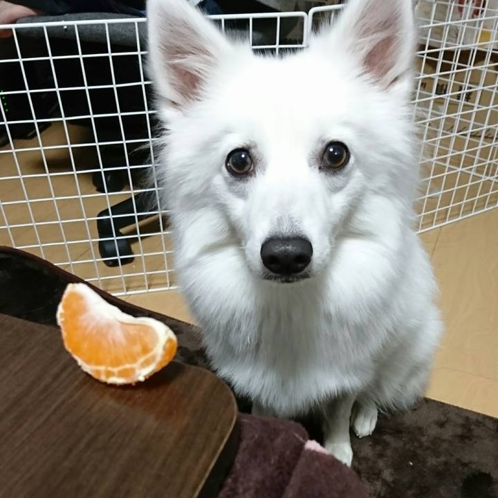 7844d1da 307a 479b be78 cfe5fa68610a 1511189741333