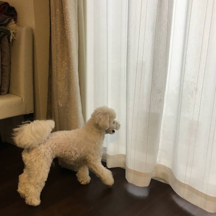 78451c9d 4ee5 4207 b38c 3ab36411b9a9 1516587238544