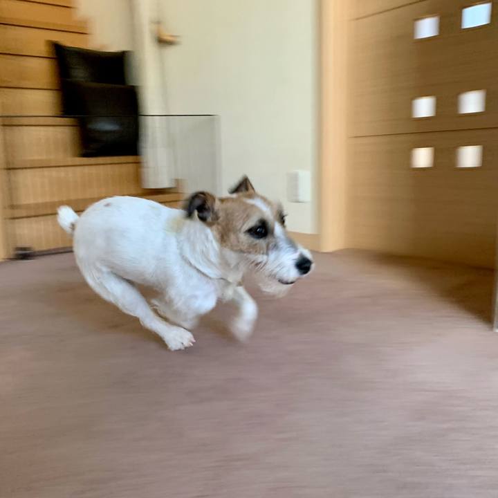 7845214d 3990 49f9 b7c3 aa9e4ee7e7e7 1619265896891