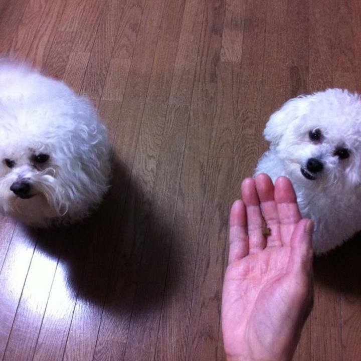 78455112 e416 47b0 b989 019eb5ab26e0 1543484857468