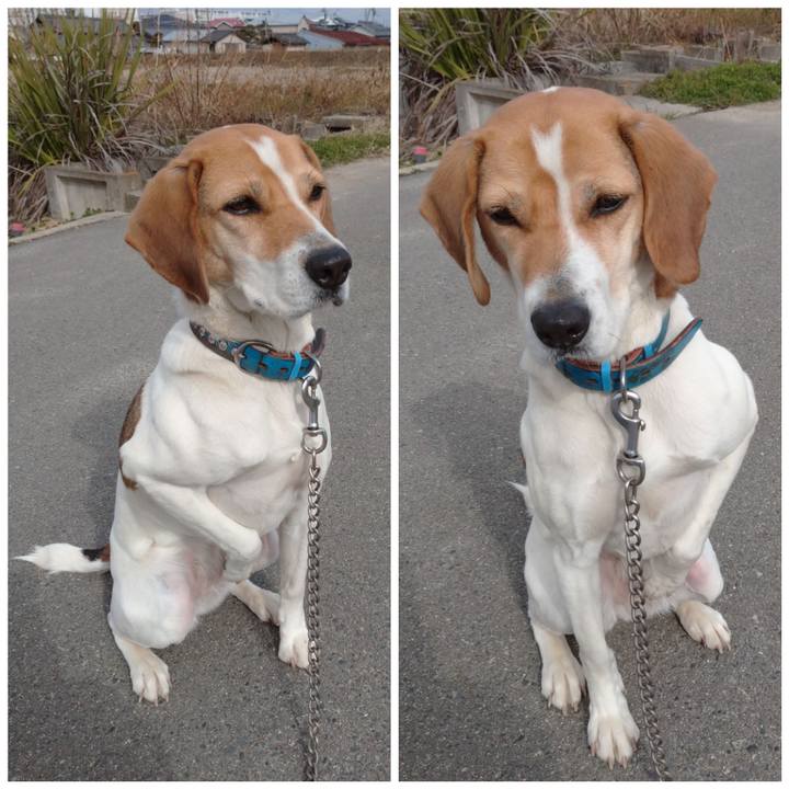 78457fc7 5f5c 4072 bf2b 9e2bb6df8200 1612855247692