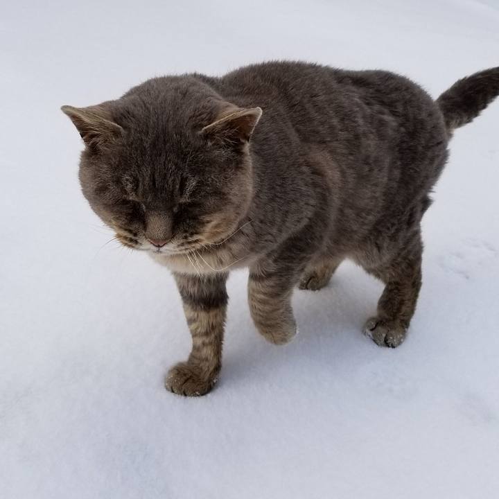 7845a847 f7fe 45ee bd44 9e8621b87d49 1547709530151