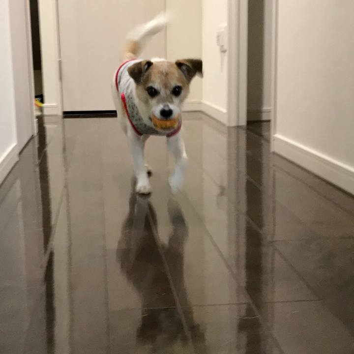 7845b7c4 335d 46ee b9b3 76f2e734e188 1633060813923