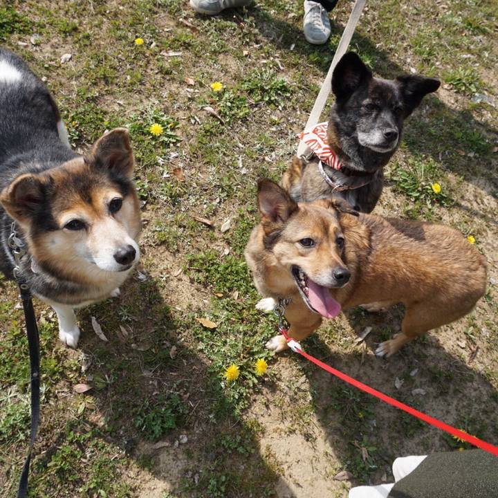 7845e380 09b9 4583 89c6 9192b5d2418c 1553946582449