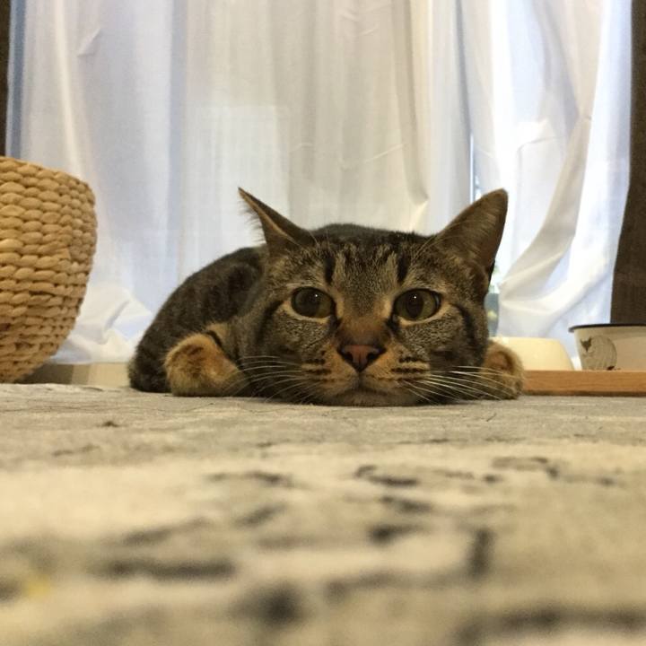 7846210b 91e7 4984 bf64 d6020ef85c8d 1528043334965