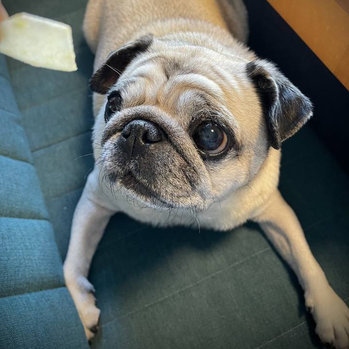 78462ea8 5763 4f82 a67e f3e33f521da4 1764119561909