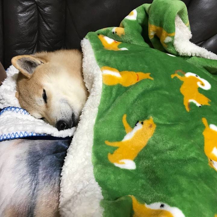 78467099 47ae 46fb bdb9 b66dac38f192 1520599753903